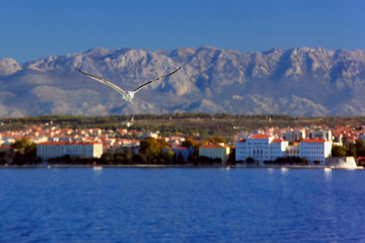 Kuki Apartment With Balcony Zadar Eksteriør billede